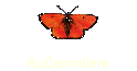 Au�envoliere