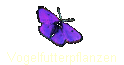 Vogelfutterpflanzen