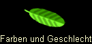 Farben und Geschlecht