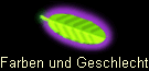 Farben und Geschlecht