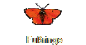 Fu�ringe