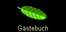 Gstebuch