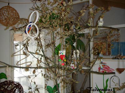 Baum_bau_09