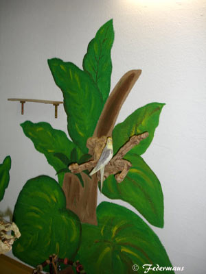 Vogelzimmer_14