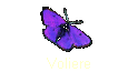 Voliere