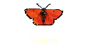 Voliere