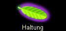 Haltung