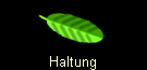 Haltung