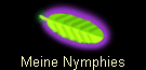 Meine Nymphies