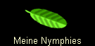 Meine Nymphies