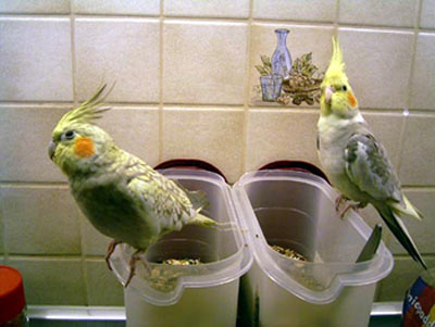 Bildergeschichten. glassbathroom. Aug 4, 06:16 AM bildergeschichte. Bildergeschichten. glassbathroom. Aug 4, 06:16 AM