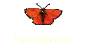 Tierarztbesuch