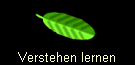 Verstehen lernen
