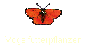Vogelfutterpflanzen