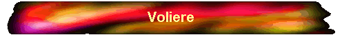 Voliere