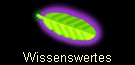 Wissenswertes